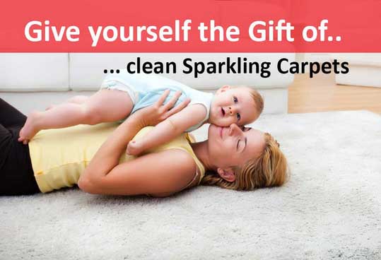 Carpet Cleaning