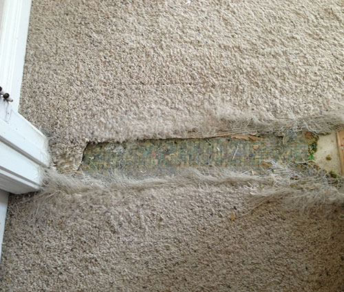 carpet-damage-repair